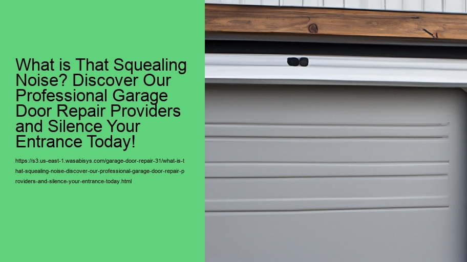 What is That Squealing Noise? Discover Our Professional Garage Door Repair Providers and Silence Your Entrance Today!