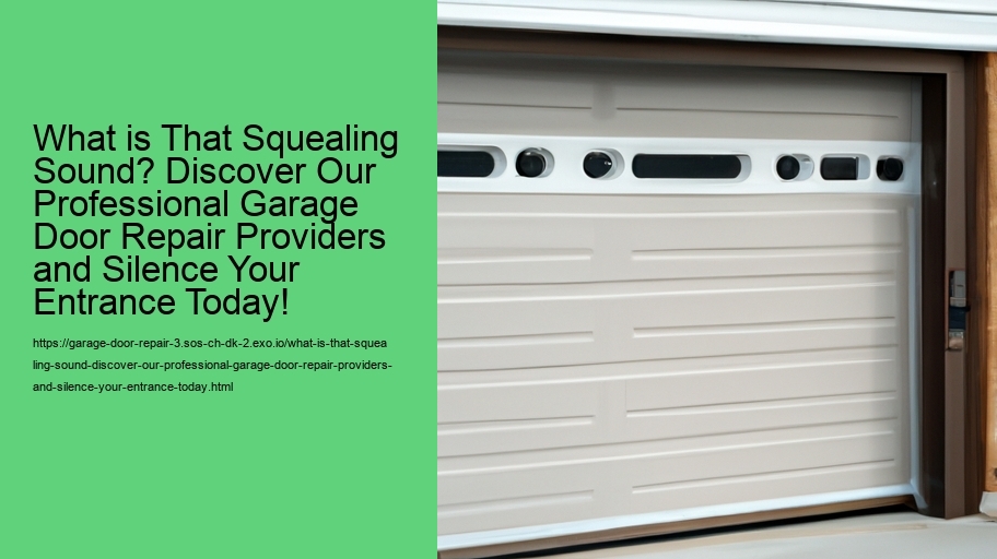 What is That Squealing Sound? Discover Our Professional Garage Door Repair Providers and Silence Your Entrance Today!